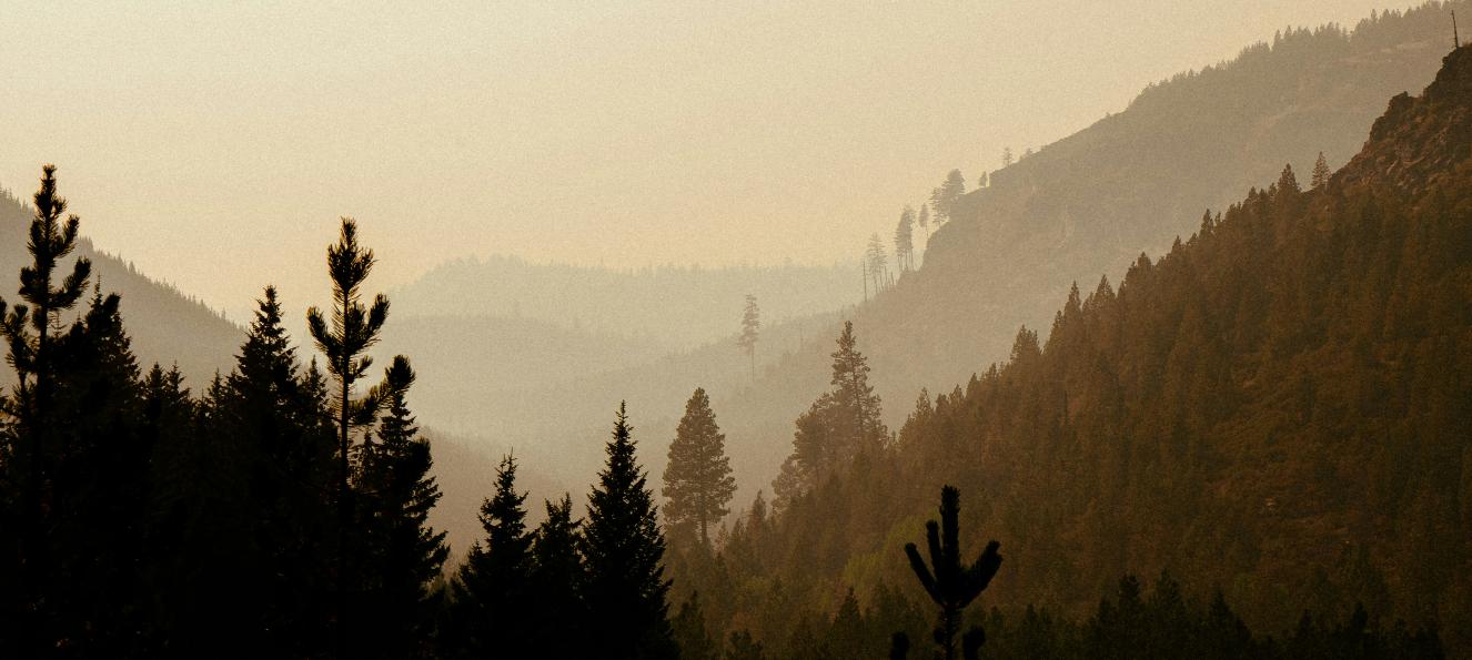 Stock image of tree covered mountains with an orange haze over it